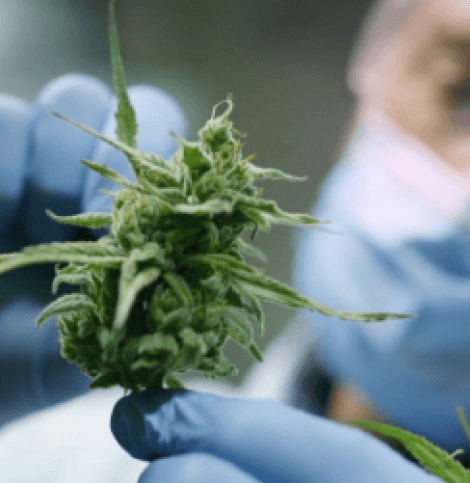 Medical Patients